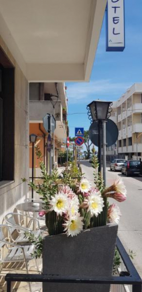 Hotel Blurelda Silvi Marina